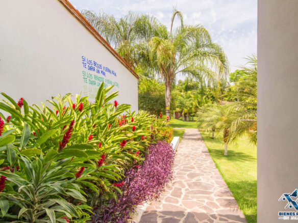 Casa Aguacate Los Arroyos Verdes